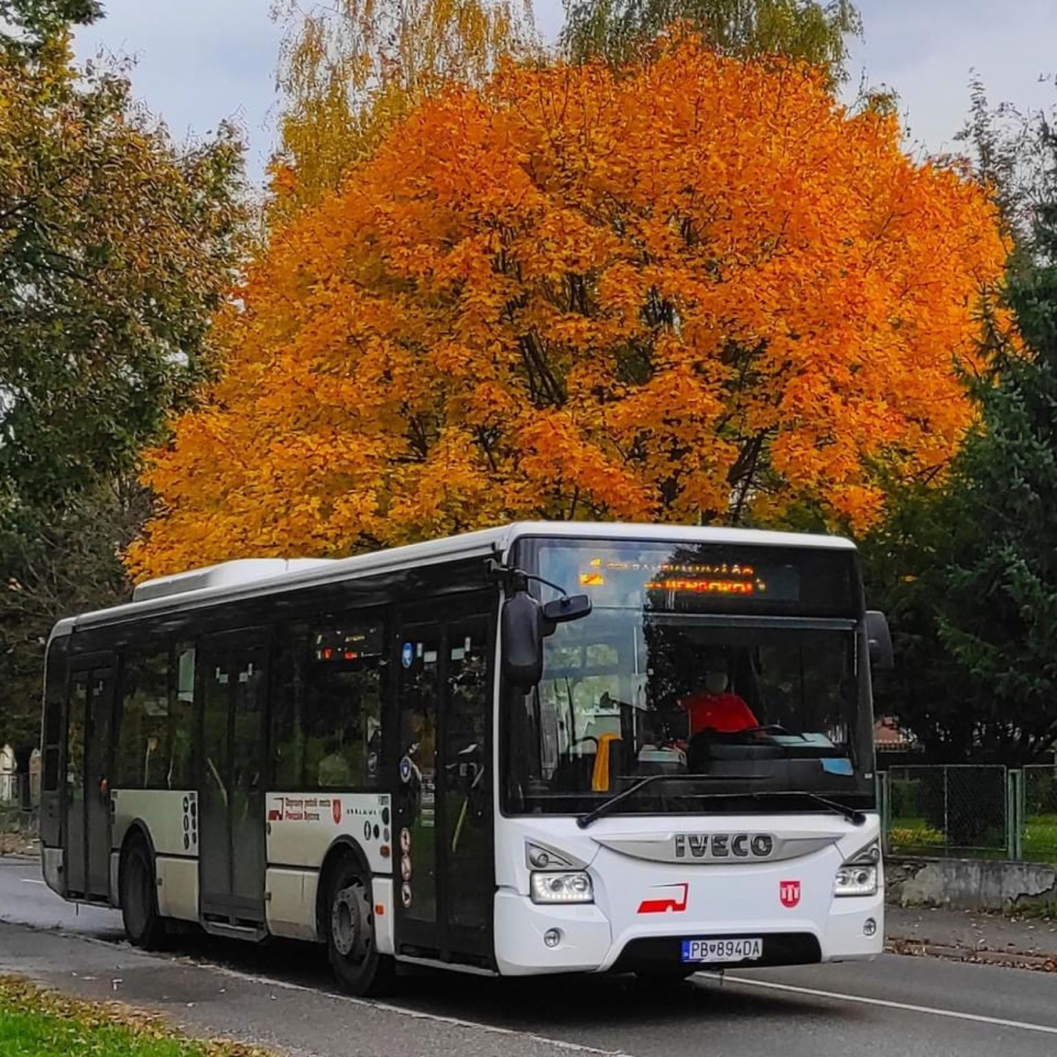 Public Transport Optimisation Powered by AI in Považská Bystrica, Slovakia